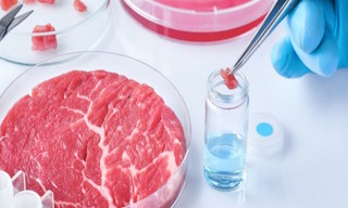 Лабораторный анализ пищевых продуктов по СанПиН в Тихвине в октябре