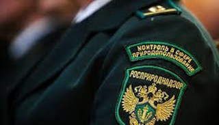 Подготовка к проверке Росприроднадзора в Тихвине от ПромМир-Тхв, стоимость услуги от 21856 руб.
